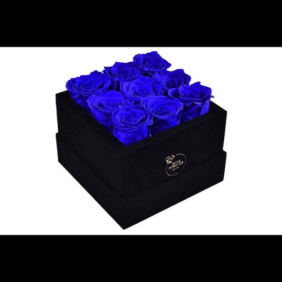 Meet your Posher, Bourouj - Picture 1 of 1